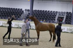 25R13_04298 thumbnail