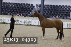25R13_04303 thumbnail