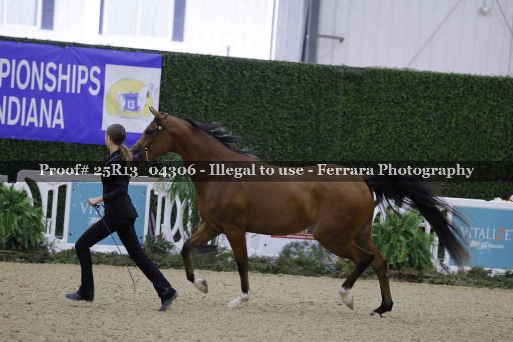 Proof Number 25R13_04306