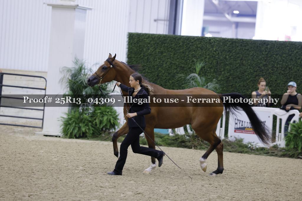 Proof Number 25R13_04309