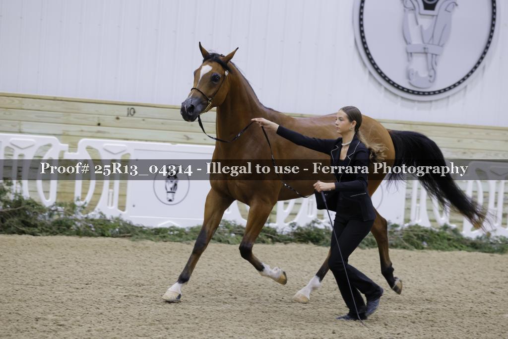 Proof Number 25R13_04314