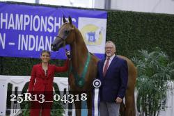 25R13_04318 thumbnail