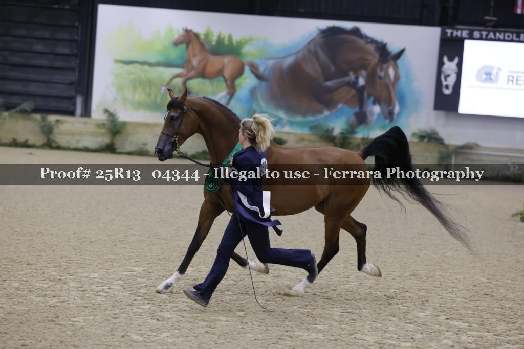 Proof Number 25R13_04344