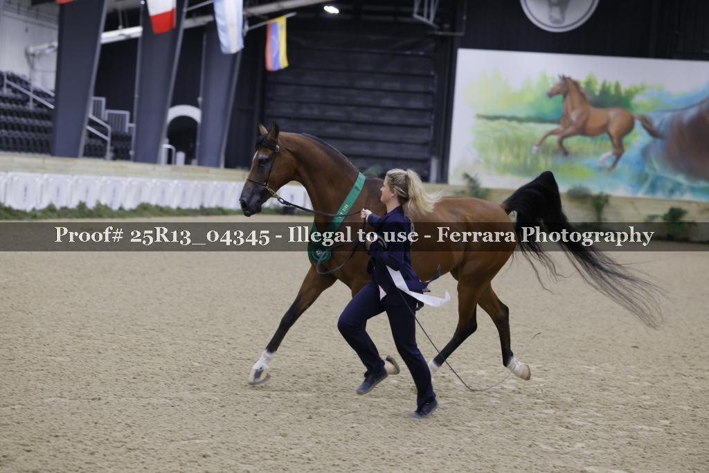 Proof Number 25R13_04345