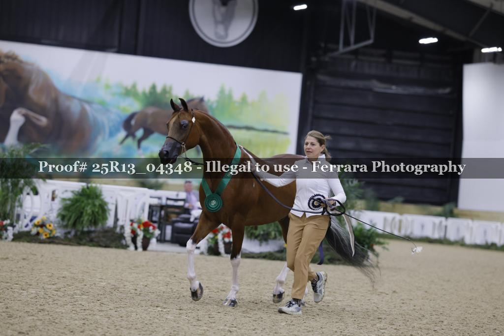 Proof Number 25R13_04348