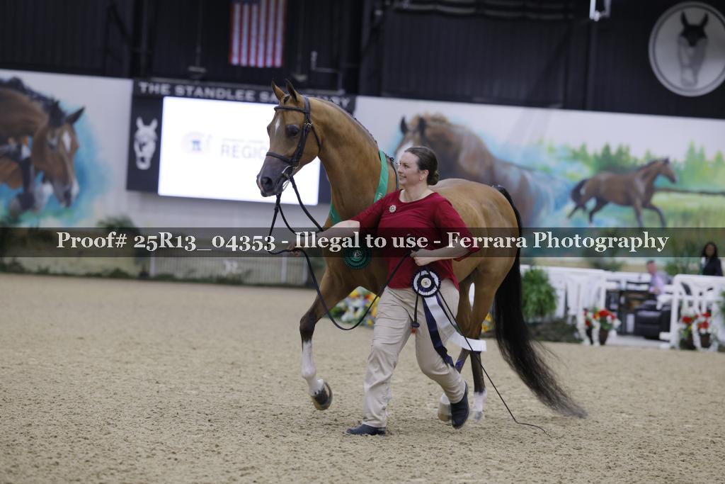 Proof Number 25R13_04353