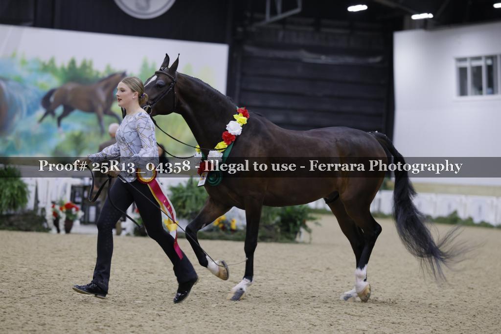 Proof Number 25R13_04358