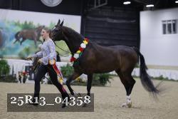 25R13_04358 thumbnail