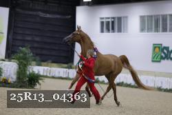 25R13_04363 thumbnail