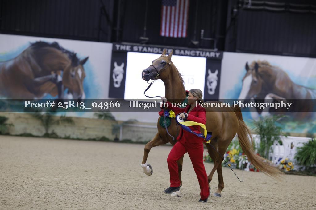 Proof Number 25R13_04366