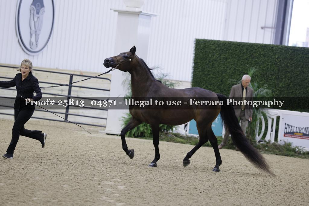 Proof Number 25R13_04371