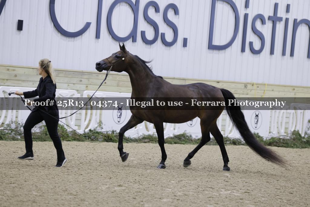 Proof Number 25R13_04374