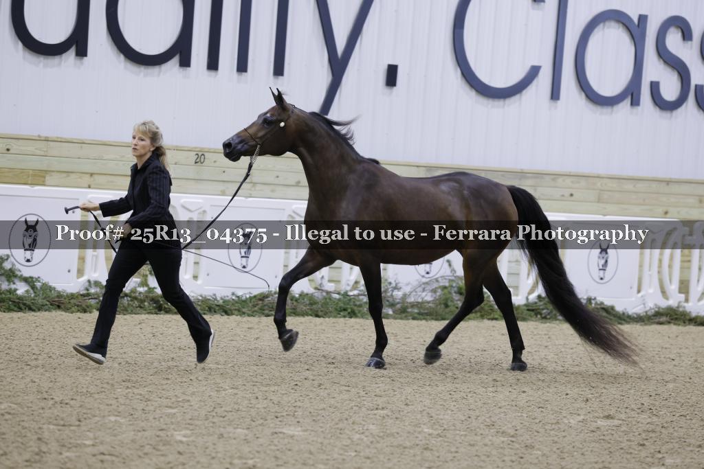 Proof Number 25R13_04375