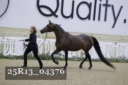 25R13_04376 thumbnail
