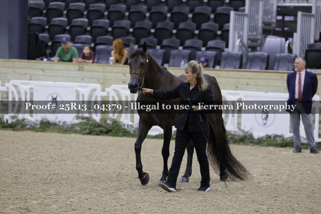 Proof Number 25R13_04379