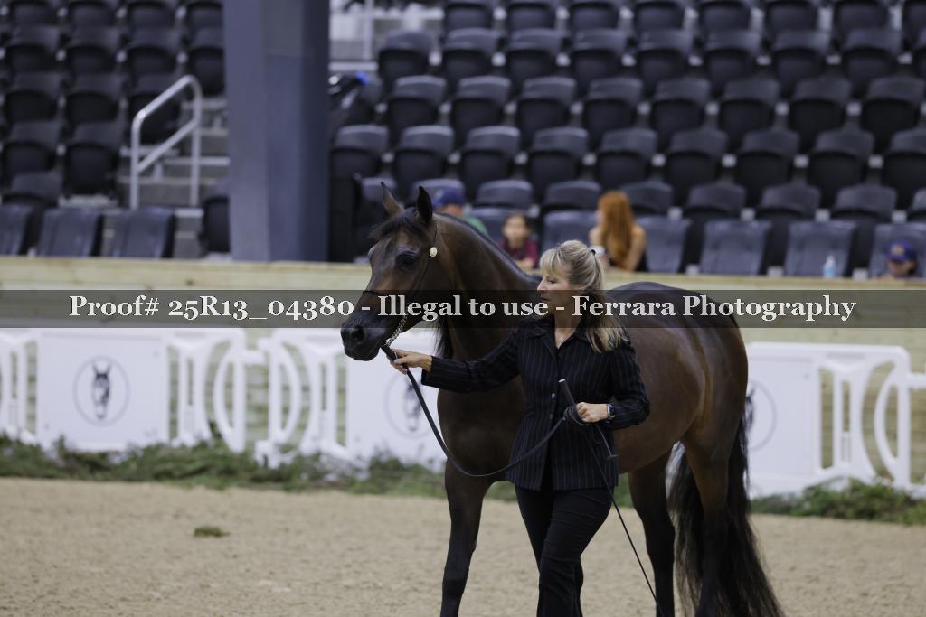 Proof Number 25R13_04380