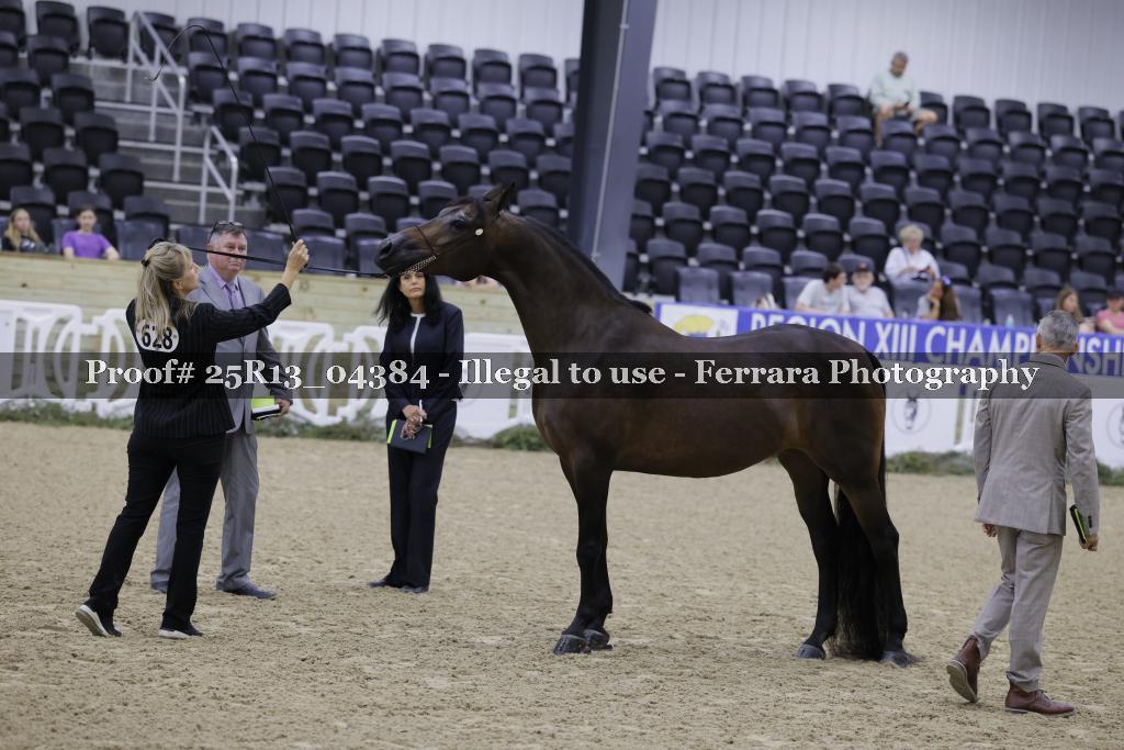 Proof Number 25R13_04384