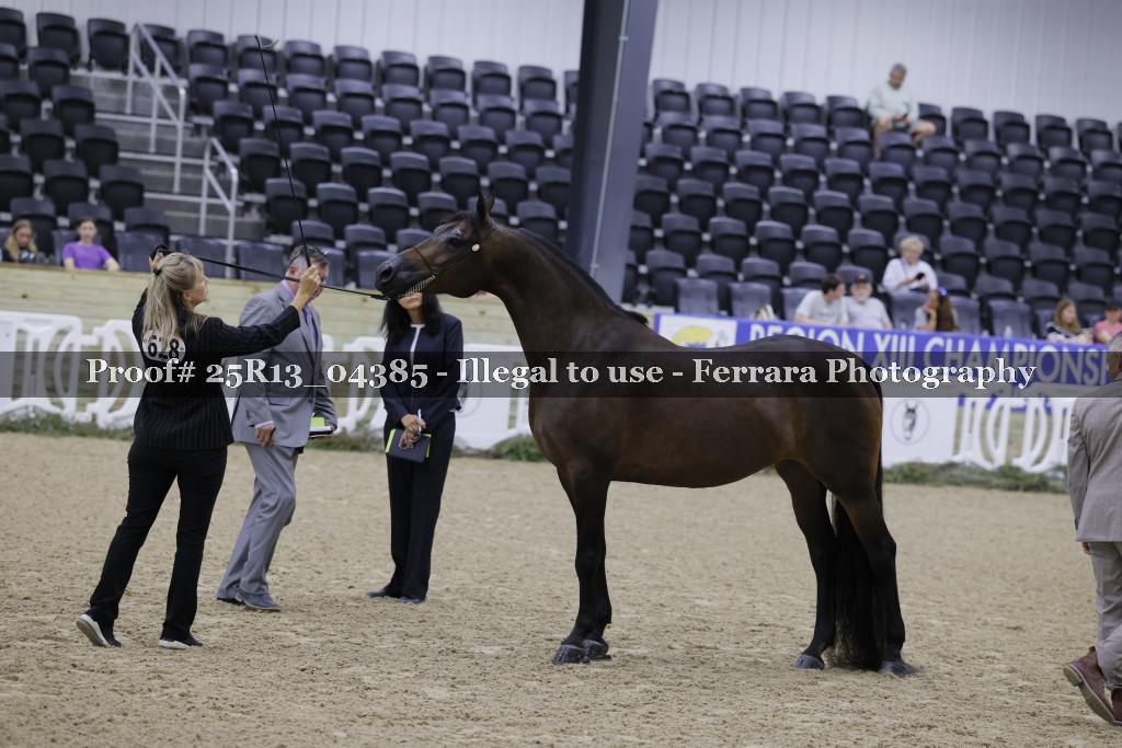 Proof Number 25R13_04385