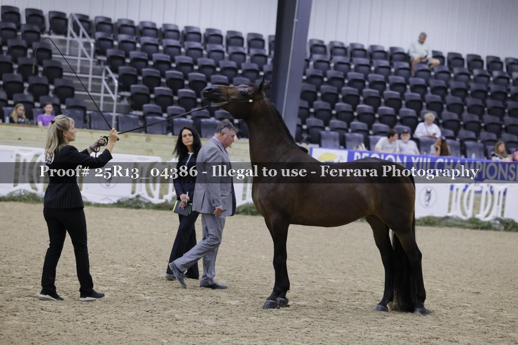 Proof Number 25R13_04386