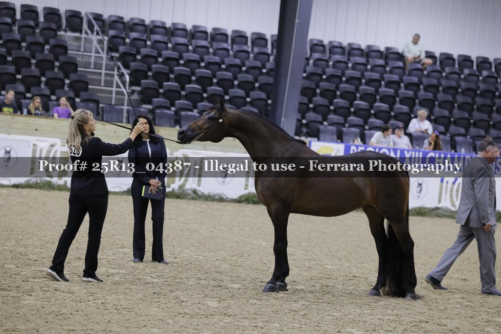 Proof Number 25R13_04387