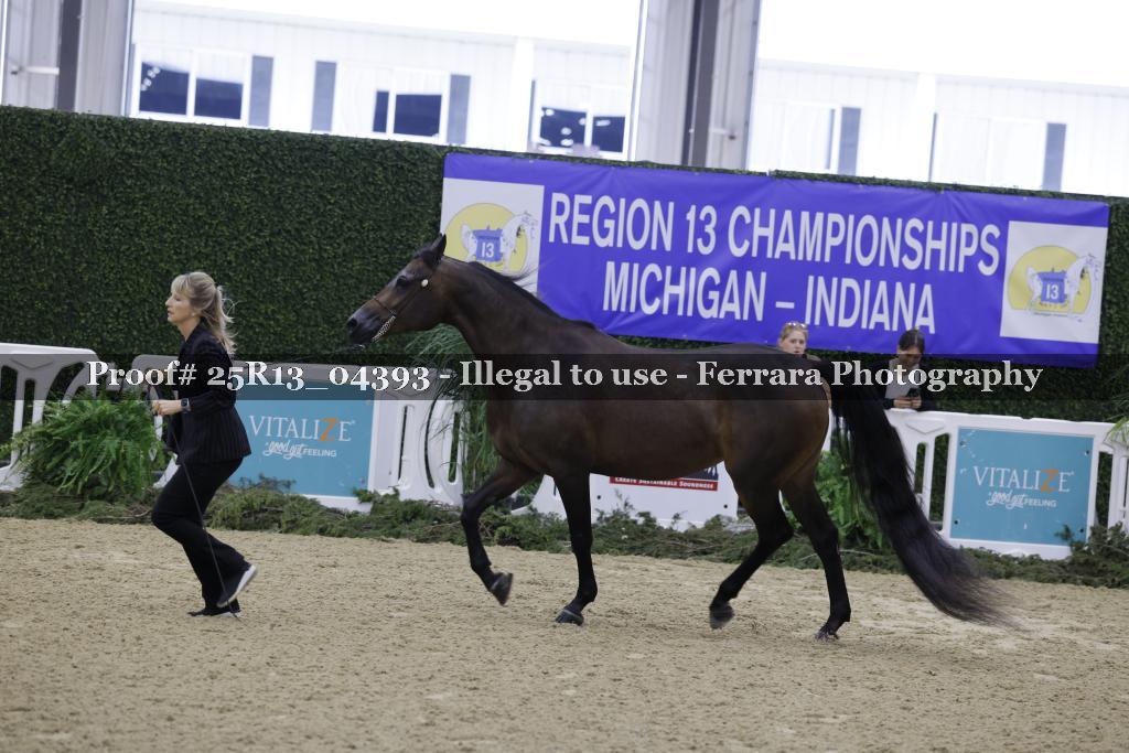 Proof Number 25R13_04393