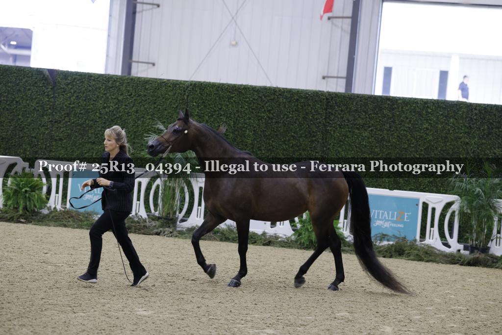 Proof Number 25R13_04394