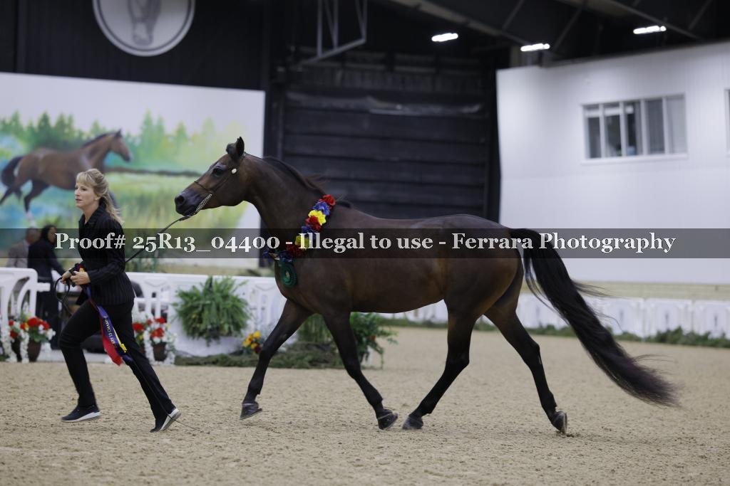 Proof Number 25R13_04400