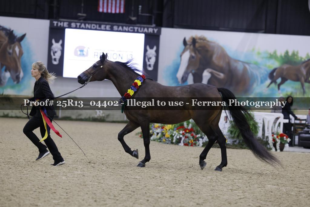 Proof Number 25R13_04402