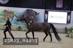 25R13_04403 thumbnail