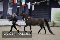 25R13_04404 thumbnail