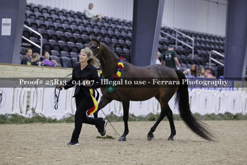 Proof Number 25R13_04407