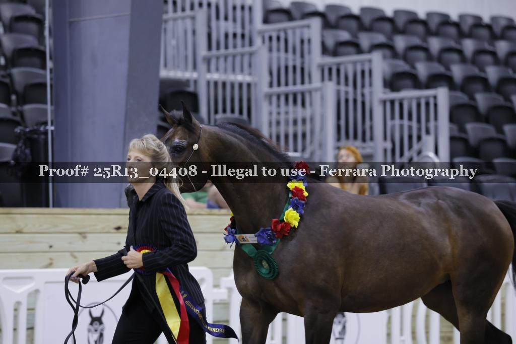 Proof Number 25R13_04408