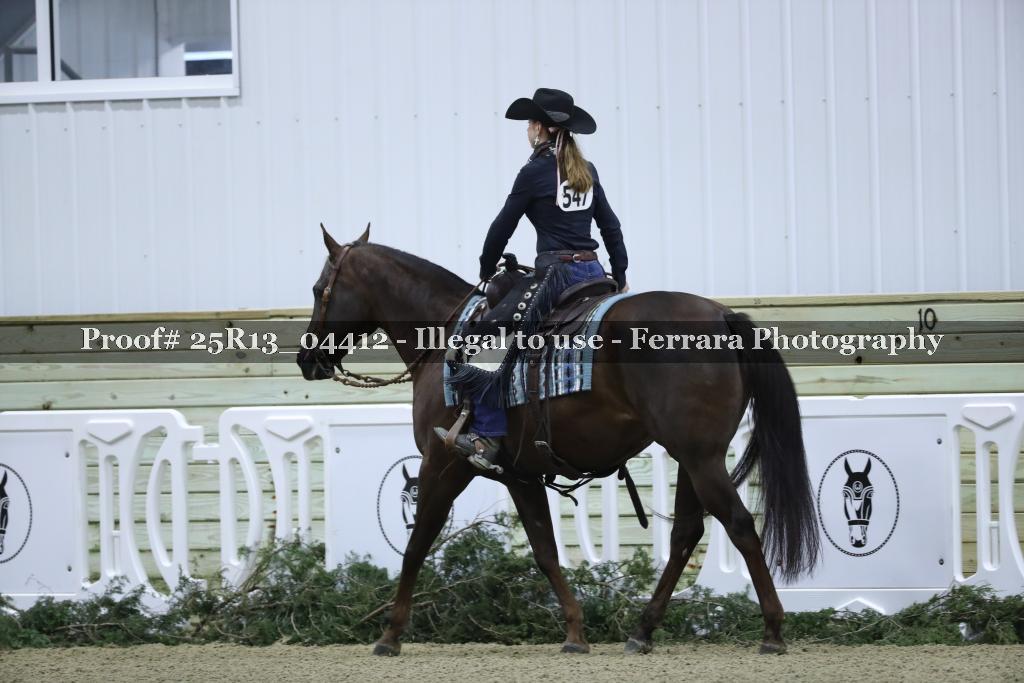 Proof Number 25R13_04412