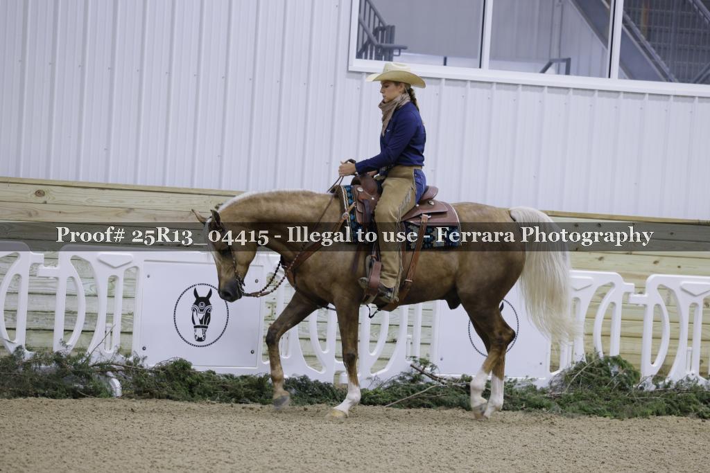 Proof Number 25R13_04415