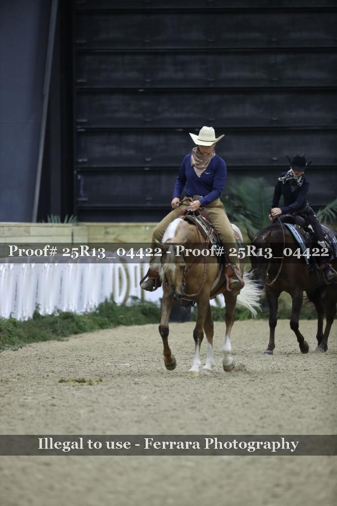 Proof Number 25R13_04422