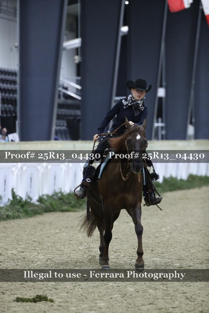 Proof Number 25R13_04430