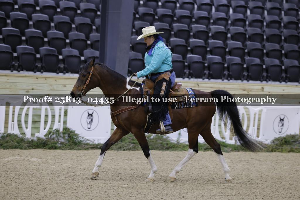 Proof Number 25R13_04435