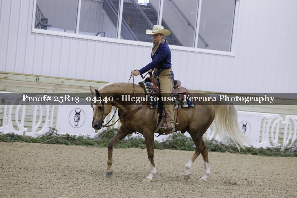 Proof Number 25R13_04440