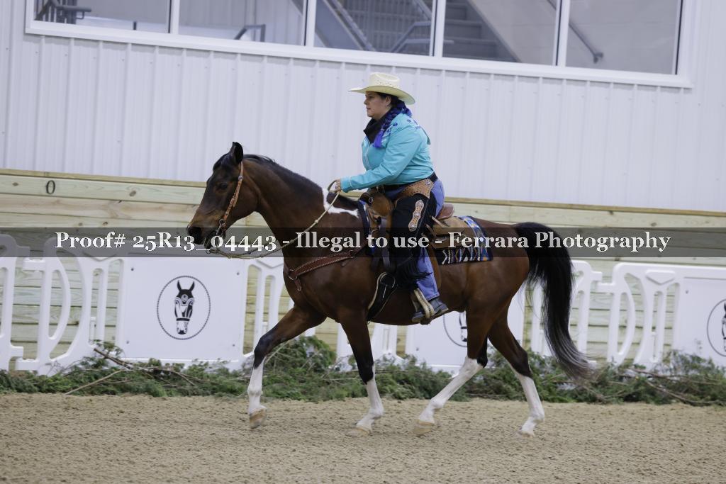 Proof Number 25R13_04443