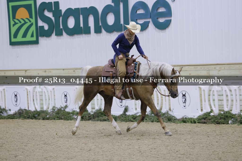 Proof Number 25R13_04445