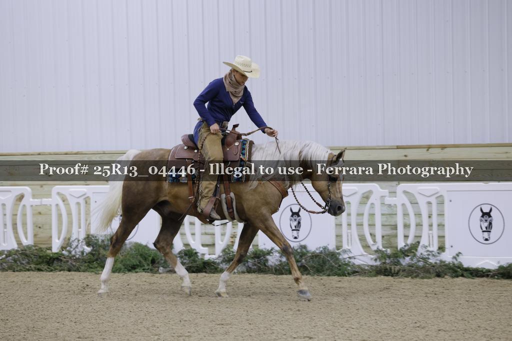 Proof Number 25R13_04446