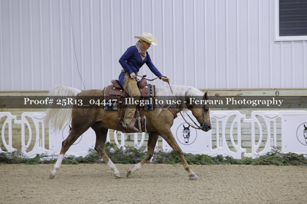 Proof Number 25R13_04447