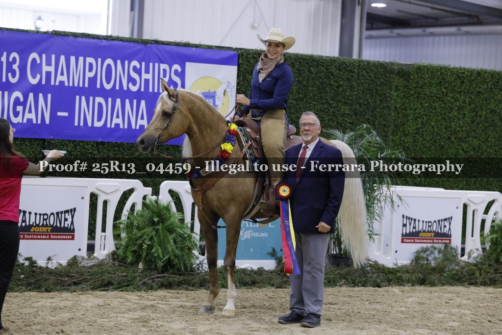 Proof Number 25R13_04459