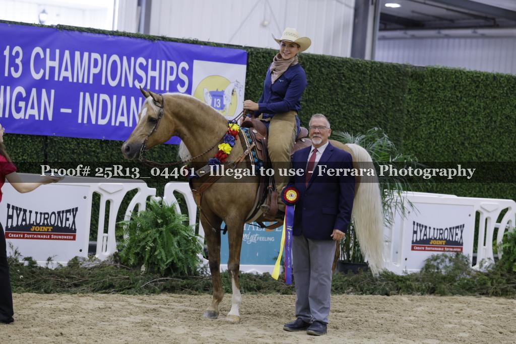 Proof Number 25R13_04461