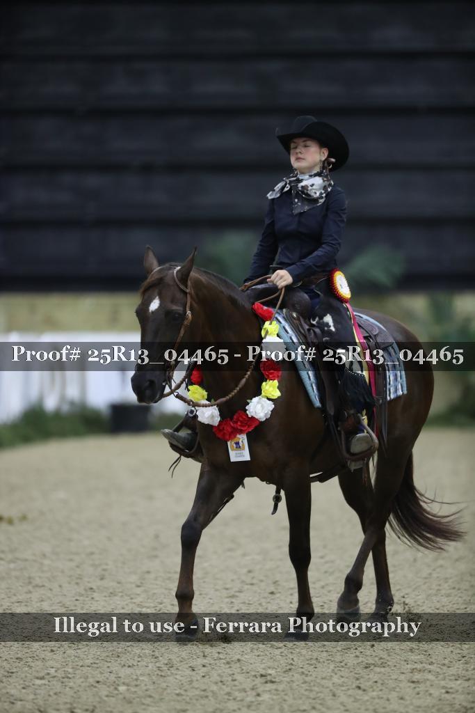 Proof Number 25R13_04465