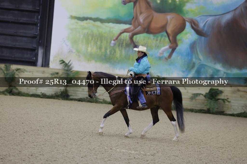 Proof Number 25R13_04470