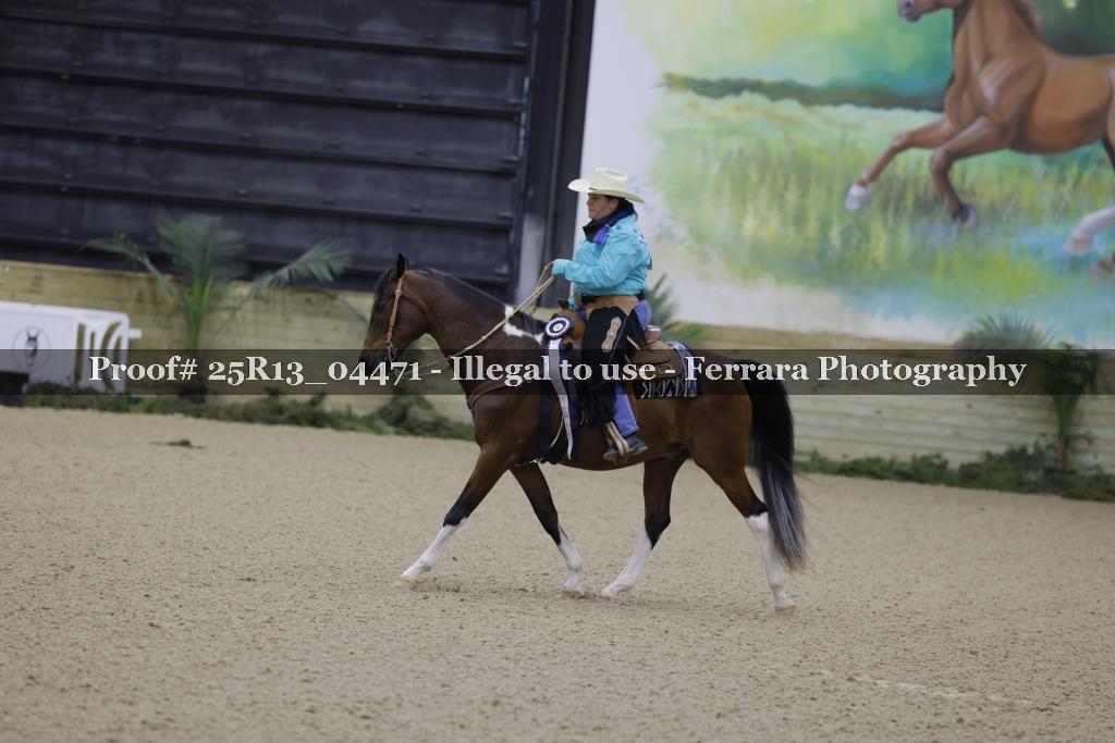Proof Number 25R13_04471