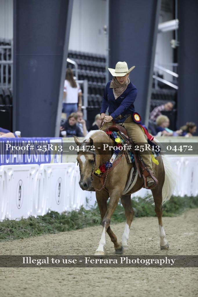 Proof Number 25R13_04472