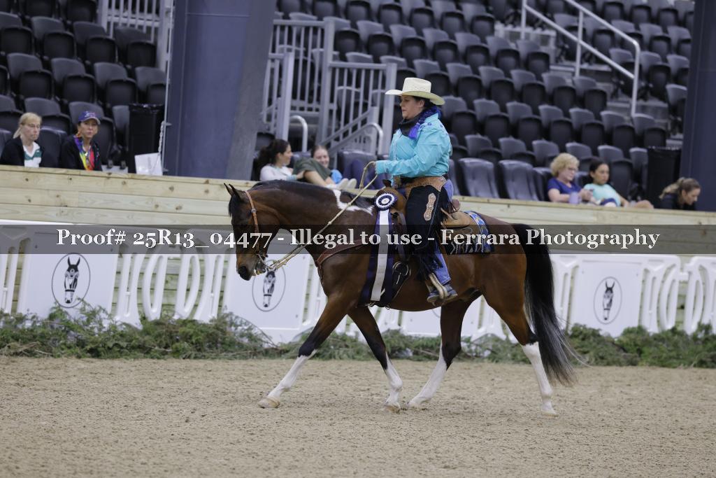Proof Number 25R13_04477