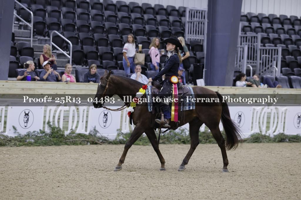 Proof Number 25R13_04483